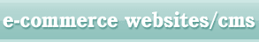 e-commerce and cms websites
